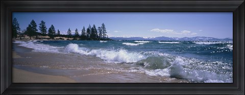 Framed Trees along a lake, Lake Tahoe, Nevada, USA Print