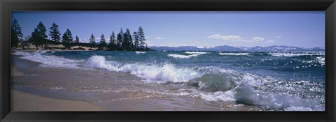 Framed Trees along a lake, Lake Tahoe, Nevada, USA Print