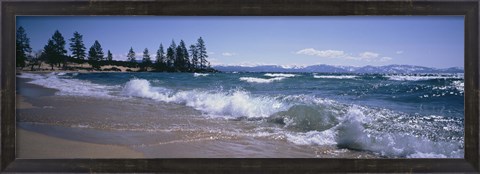 Framed Trees along a lake, Lake Tahoe, Nevada, USA Print