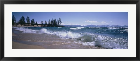 Framed Trees along a lake, Lake Tahoe, Nevada, USA Print