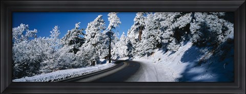 Framed Road passing through a forest, Lake Arrowhead, San Bernardino County, California, USA Print
