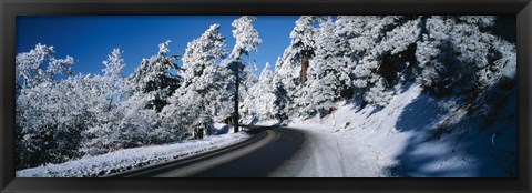 Framed Road passing through a forest, Lake Arrowhead, San Bernardino County, California, USA Print