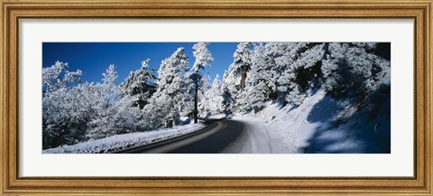 Framed Road passing through a forest, Lake Arrowhead, San Bernardino County, California, USA Print