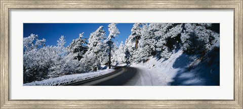 Framed Road passing through a forest, Lake Arrowhead, San Bernardino County, California, USA Print