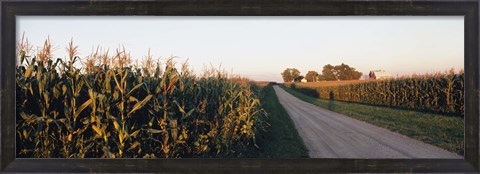 Framed Dirt road passing through fields, Illinois, USA Print