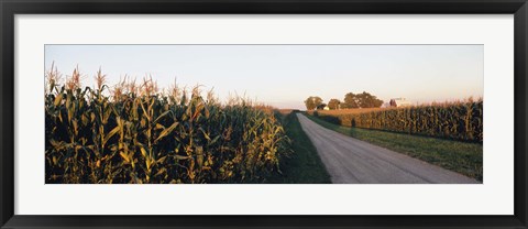 Framed Dirt road passing through fields, Illinois, USA Print