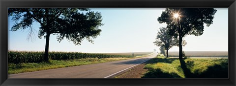 Framed Road passing through fields, Illinois Route 64, Illinois, USA Print