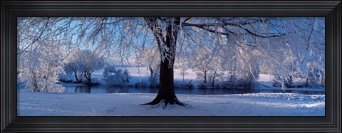 Framed Winter Trees Perkshire Scotland Print