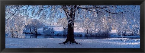 Framed Winter Trees Perkshire Scotland Print
