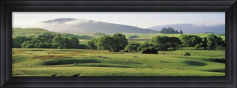 Framed Farmland Southland New Zealand Print
