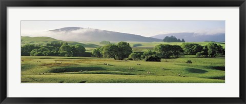 Framed Farmland Southland New Zealand Print