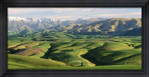 Framed Farmland S Canterbury New Zealand Print