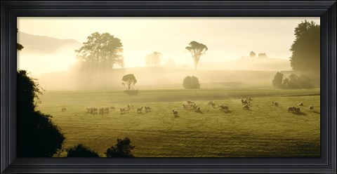 Framed Farmland &amp; Sheep Southland New Zealand Print
