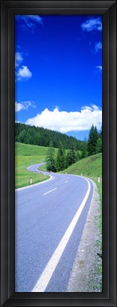 Framed Wildflowers in a field, Tyrol, Austria Print