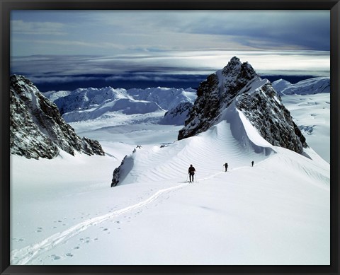 Framed Upper Fox Glacier Westland NP New Zealand Print