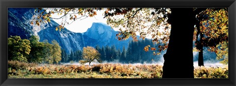 Framed Half Dome, Yosemite National Park, California, USA Print