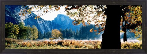 Framed Half Dome, Yosemite National Park, California, USA Print