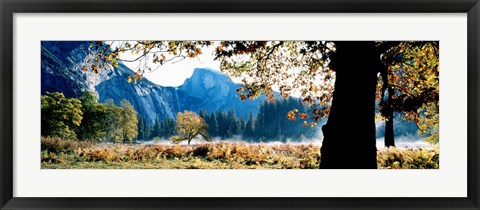 Framed Half Dome, Yosemite National Park, California, USA Print