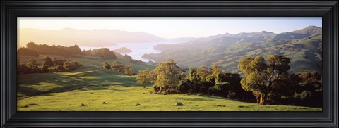 Framed Akaroa Harbor Canterbury New Zealand Print