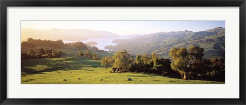 Framed Akaroa Harbor Canterbury New Zealand Print