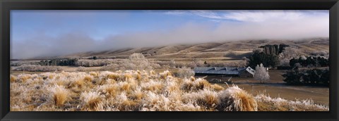 Framed Barn in a field, Morven Hills Station, Otago, New Zealand Print