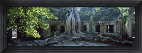 Framed Wat Temple Complex of Ta-Prohm Cambodia Print