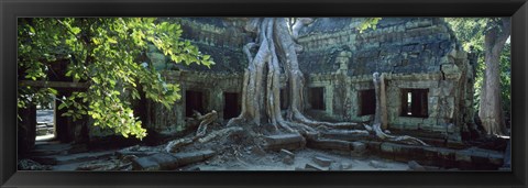 Framed Wat Temple Complex of Ta-Prohm Cambodia Print