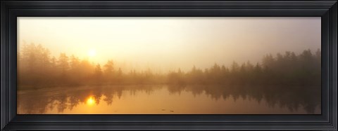 Framed Misty Morning, Volvo Bog, Illinois, USA Print