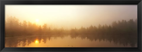 Framed Misty Morning, Volvo Bog, Illinois, USA Print