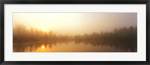 Framed Misty Morning, Volvo Bog, Illinois, USA Print