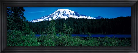 Framed Mt Rainier Mt Rainier National Park WA USA Print