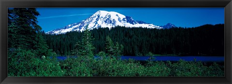 Framed Mt Rainier Mt Rainier National Park WA USA Print