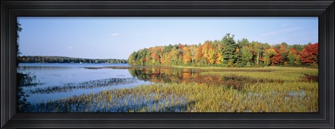 Framed Trees in a forest at the lakeside, Ontario, Canada Print