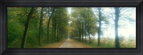 Framed Road With Fog, France Print