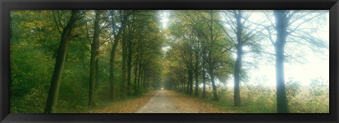 Framed Road With Fog, France Print