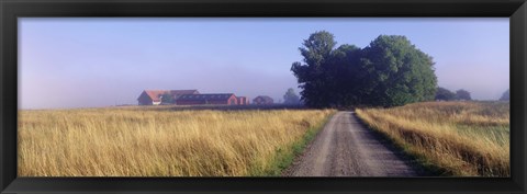 Framed Road Sweden Print