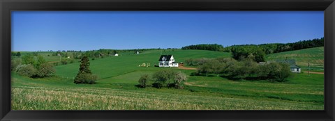 Framed Summer Fields And Houses, Prince Edward Island, Canada Print