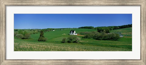 Framed Summer Fields And Houses, Prince Edward Island, Canada Print