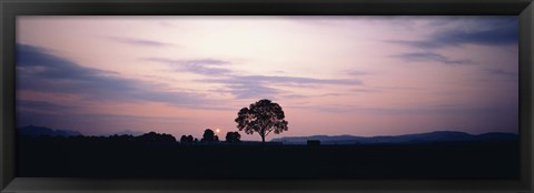 Framed Night Schwangau Germany Print