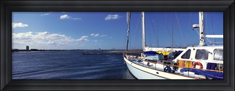 Framed Avalon, Santa Catalina Island, California, USA Print