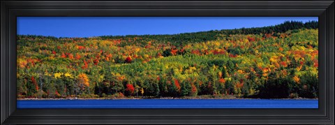 Framed Autumn Eagle Lake, Acadia National Park, Maine, USA Print