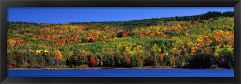 Framed Autumn Eagle Lake, Acadia National Park, Maine, USA Print