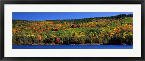 Framed Autumn Eagle Lake, Acadia National Park, Maine, USA Print