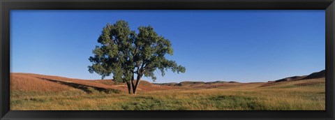 Framed Wind Cave National Park, South Dakota, USA Print