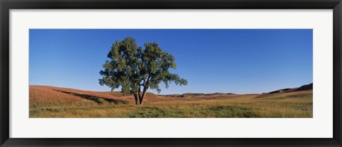 Framed Wind Cave National Park, South Dakota, USA Print