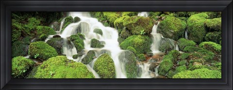 Framed USA, Washington, Olympic National Park Print