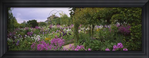Framed Flowers In A Garden, Foundation Claude Monet, Giverny, France Print
