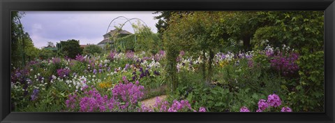 Framed Flowers In A Garden, Foundation Claude Monet, Giverny, France Print