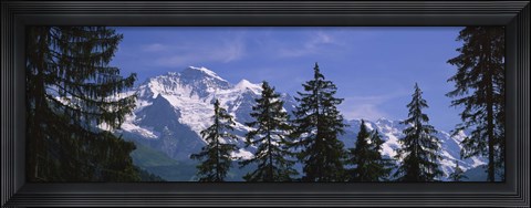 Framed Mountains covered with snow, Swiss Alps, Wengen, Bernese Oberland, Switzerland Print