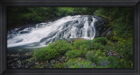 Framed Waterfall in the forest, Mt Rainier National Park, Washington State, USA Print